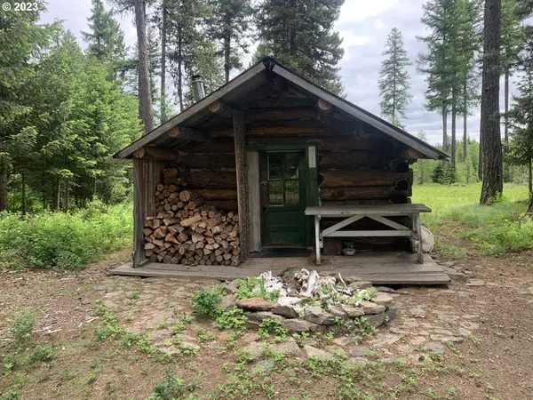 Cabin, Wallowa, OR 97885