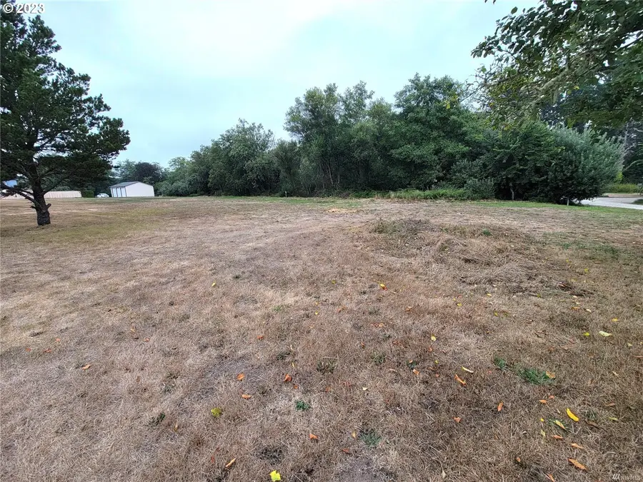 1602 S Idaho Ave, Long Beach, WA 98631 - Image #2