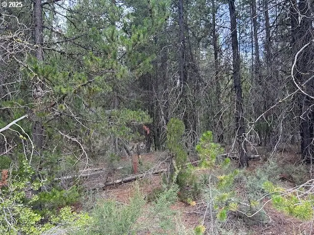 400 Hwy 58, Crescent Lake, OR 97733 - Image #2