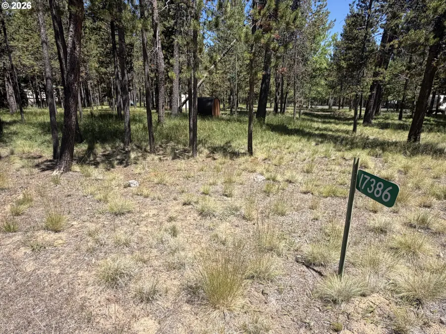 17386 Golden Eye Dr, Bend, OR 97707 - #2