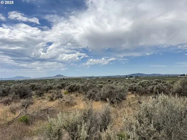 Snowflake Road #1700, ChristmasValley, OR 97641