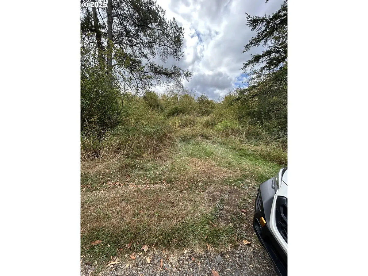 0 Nicholson Rd, Toledo, WA 98591 - Image #1