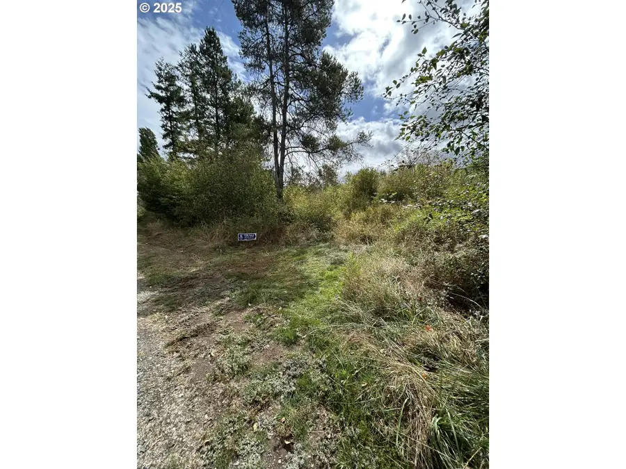 0 Nicholson Rd, Toledo, WA 98591 - Image #2
