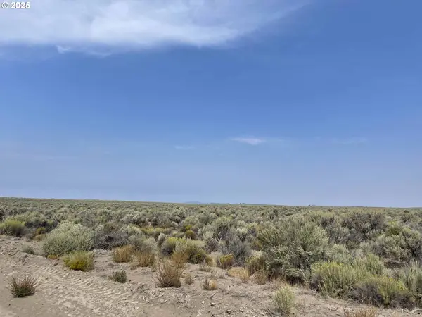 Off Rolfs Point Rd #TL 4401, ChristmasValley, OR 97641