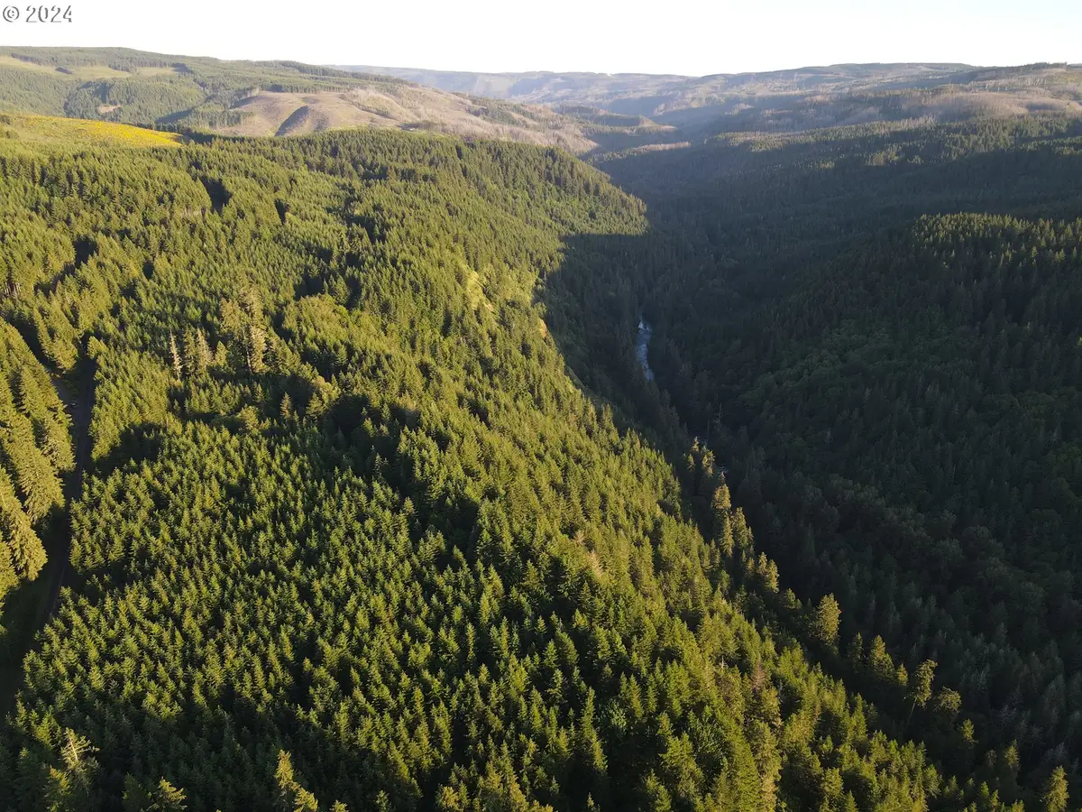 S Dickey Prairie Rd, Molalla, OR 97038 - Image #1