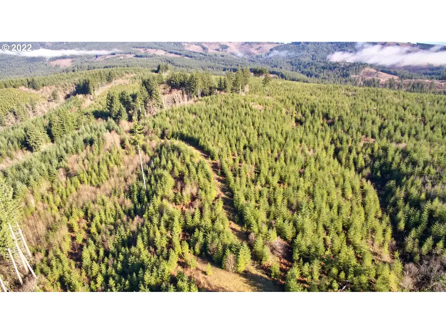 3 NE Jones Creek Rd, Camas, WA 98607 - Image #3