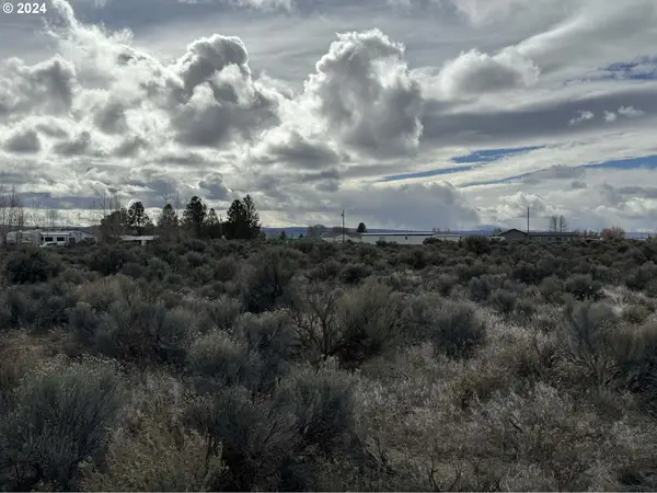 Elm Ln #TL-5400, ChristmasValley, OR 97641