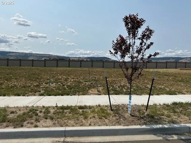 10806 Carrie Way, Island City, OR 97850 - Image #2