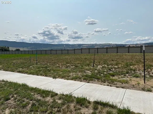 10808 Carrie Way, Island City, OR 97850 - Image #2