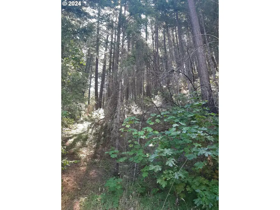 0 Canyonville-riddle Rd, Canyonville, OR 97417 - #2