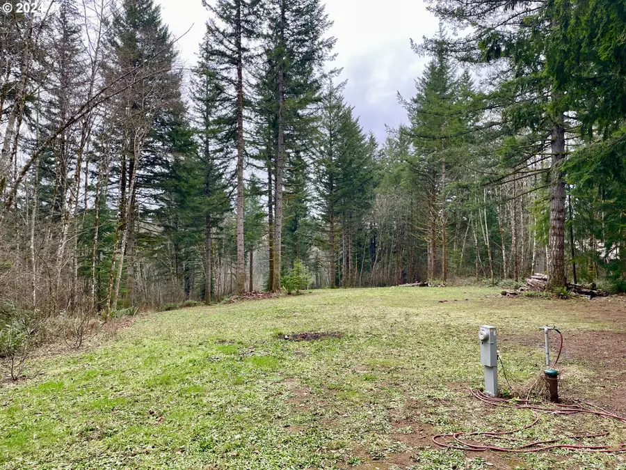 NE 24th St, Washougal, WA 98671 - Image #2