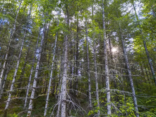 0 Meadow Lake Rd, Carlton, OR 97111