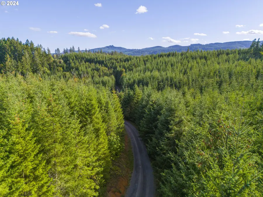 0 Meadow Lake Rd, Carlton, OR 97111 - #3