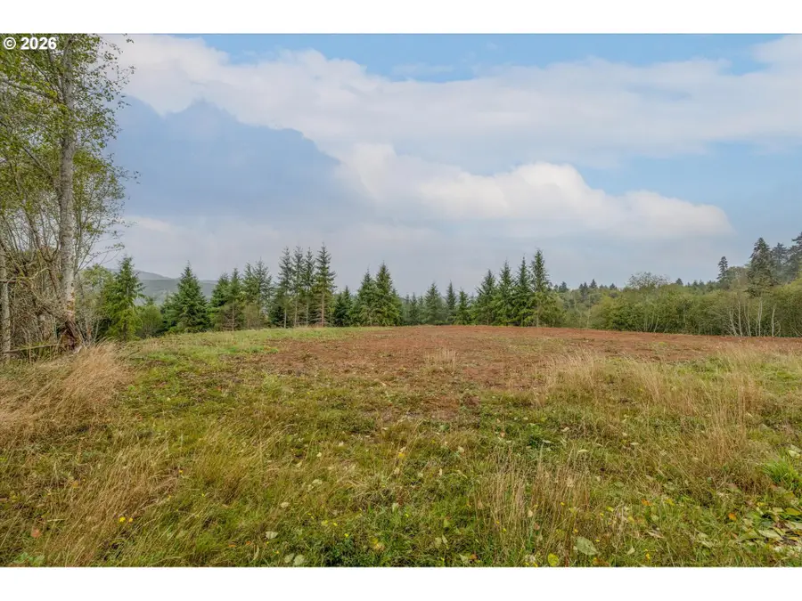 307 Greenwood Rd, Cathlamet, WA 98612 - Image #3