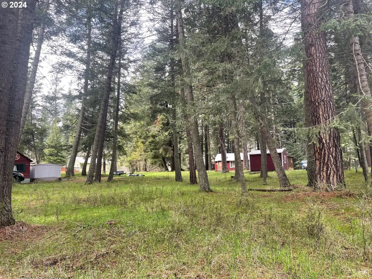 0 Wallowa Lake Highway, Wallowa Lake, OR 97846 - Image #1