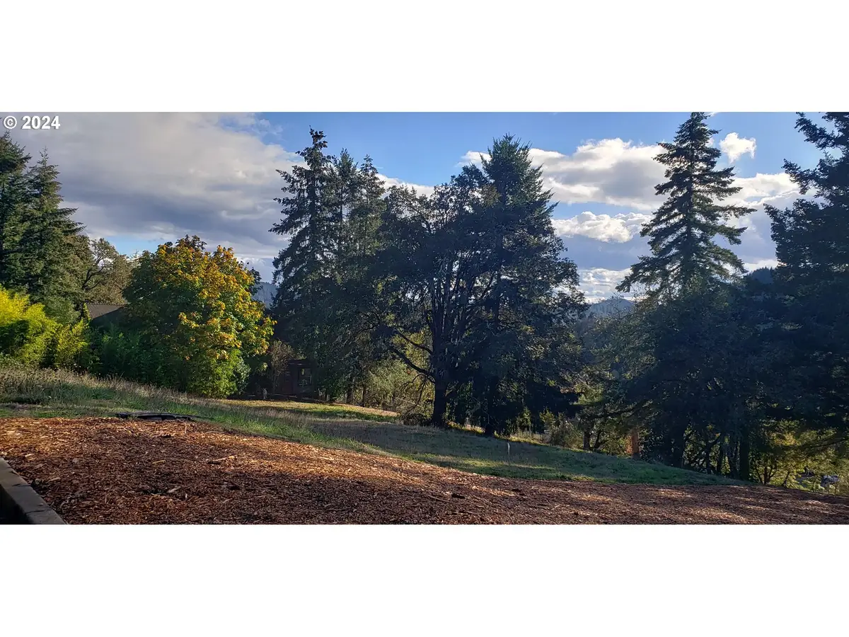 284 Edgeview Dr, Elkton, OR 97436 - Image #1