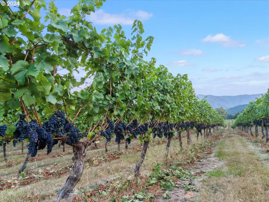 841 Skelly Rd, Yoncalla, OR 97499 - Image #3