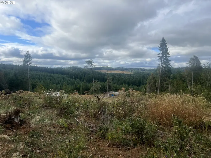 89975 Sheffler Rd, Elmira, OR 97437 - Image #3