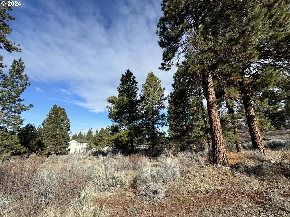 Shoshoni Way #Lot ~ 4, Chiloquin, OR 97624 - #1