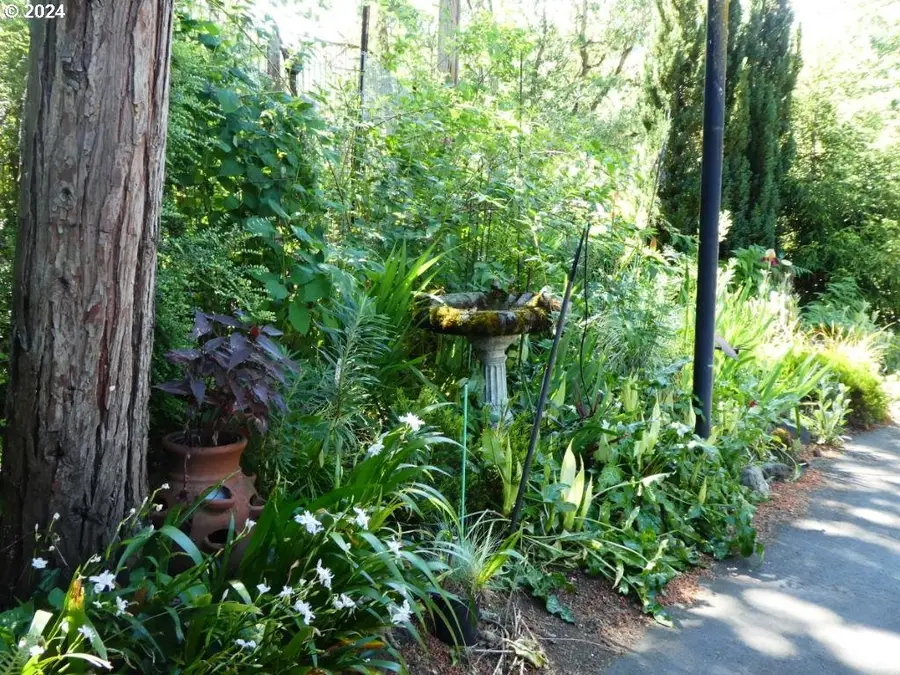 242 Rocky Point Ln, Roseburg, OR 97471 - Image #3