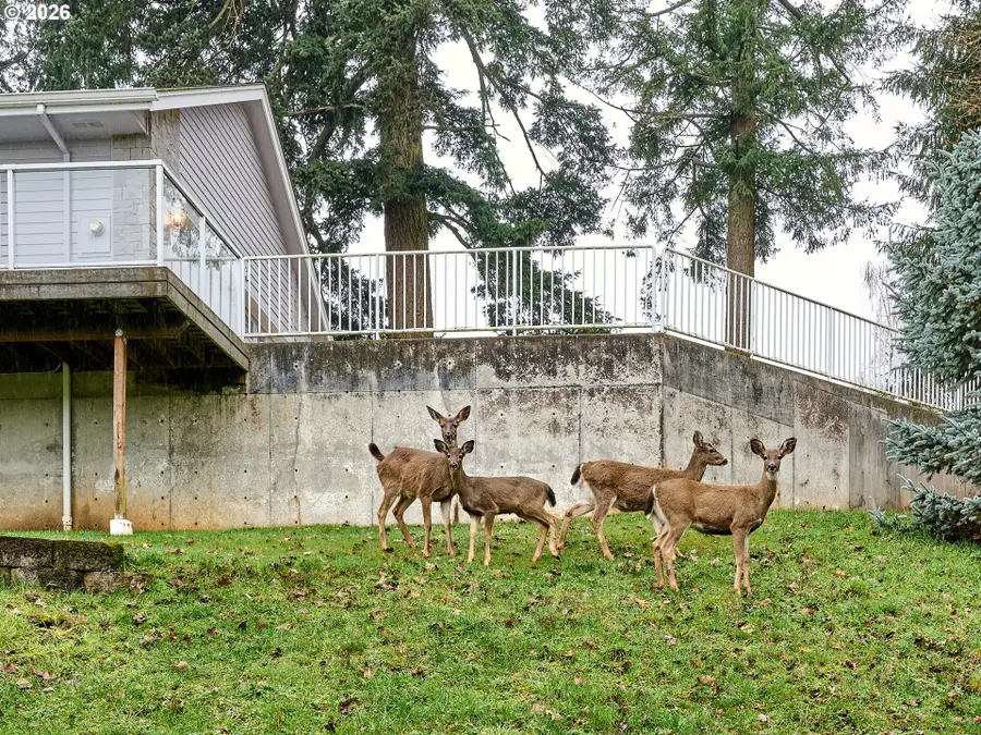 301 Edgewood Dr, Silverton, OR 97381 - #3