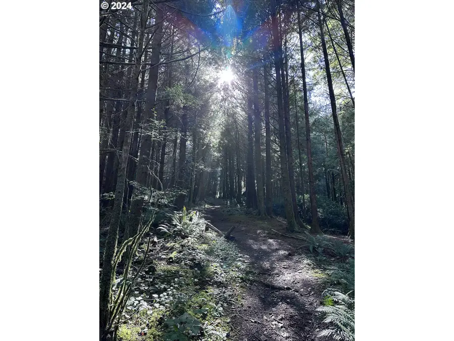 Address Withheld By Seller, Arch Cape, OR 97102 - Image #3