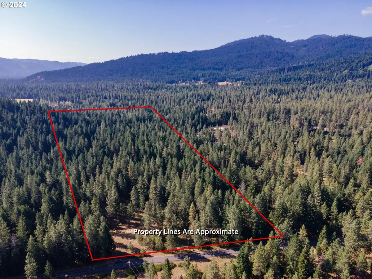 146 Stadelman Dr, Trout Lake, WA 98650 - Image #1