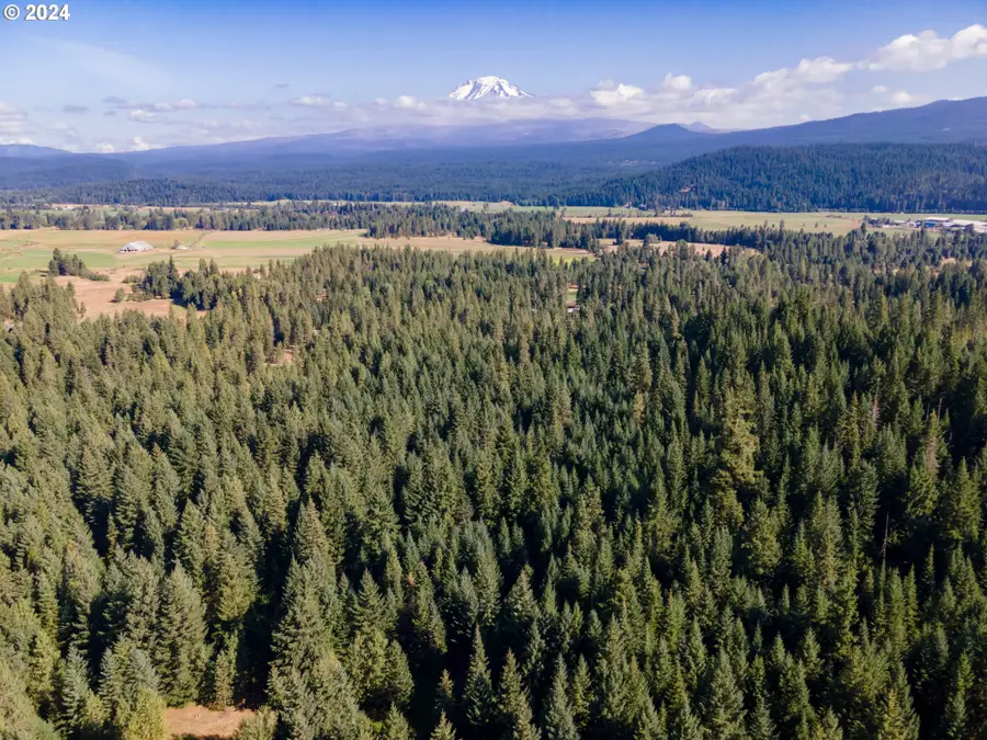 146 Stadelman Dr, Trout Lake, WA 98650 - Image #2