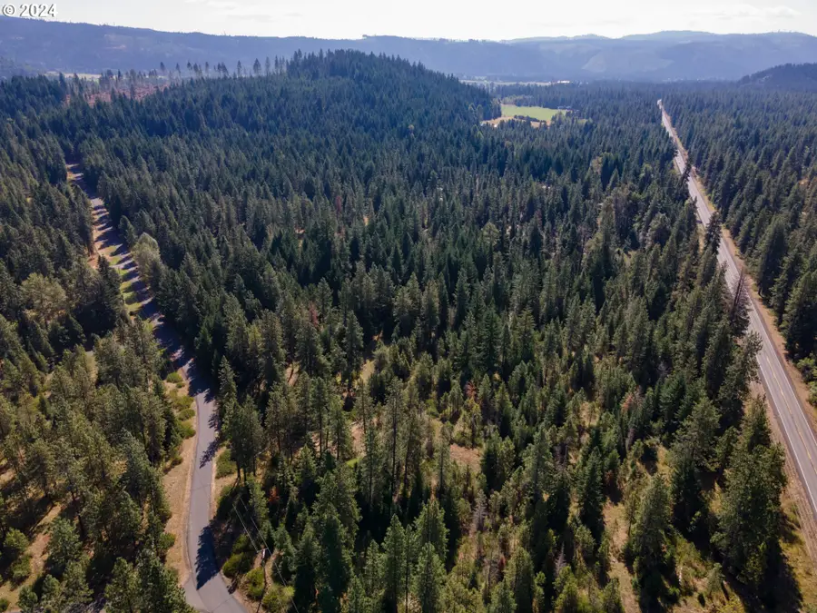 146 Stadelman Dr, Trout Lake, WA 98650 - Image #3