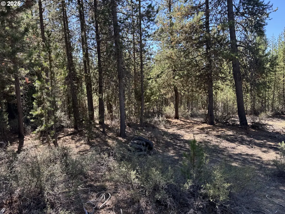 Crescent Moon Drive #29, Crescent Lake, OR 97733 - Image #1