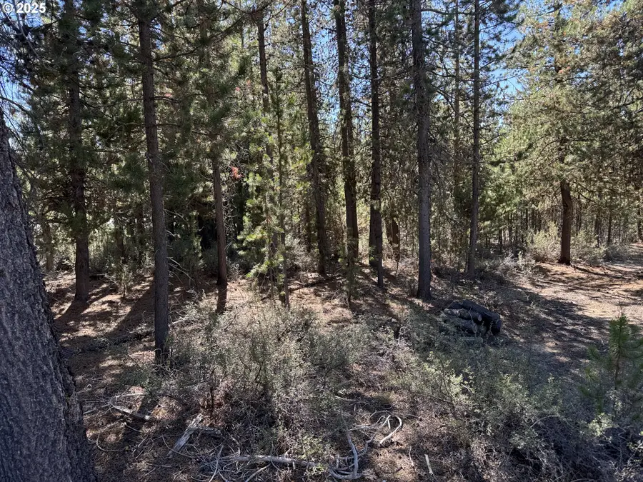 Crescent Moon Drive #29, Crescent Lake, OR 97733 - Image #2