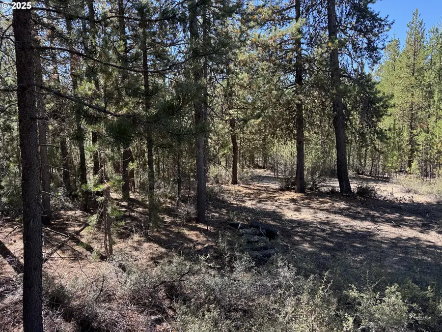 Crescent Moon Drive #29, Crescent Lake, OR 97733 - Image #3