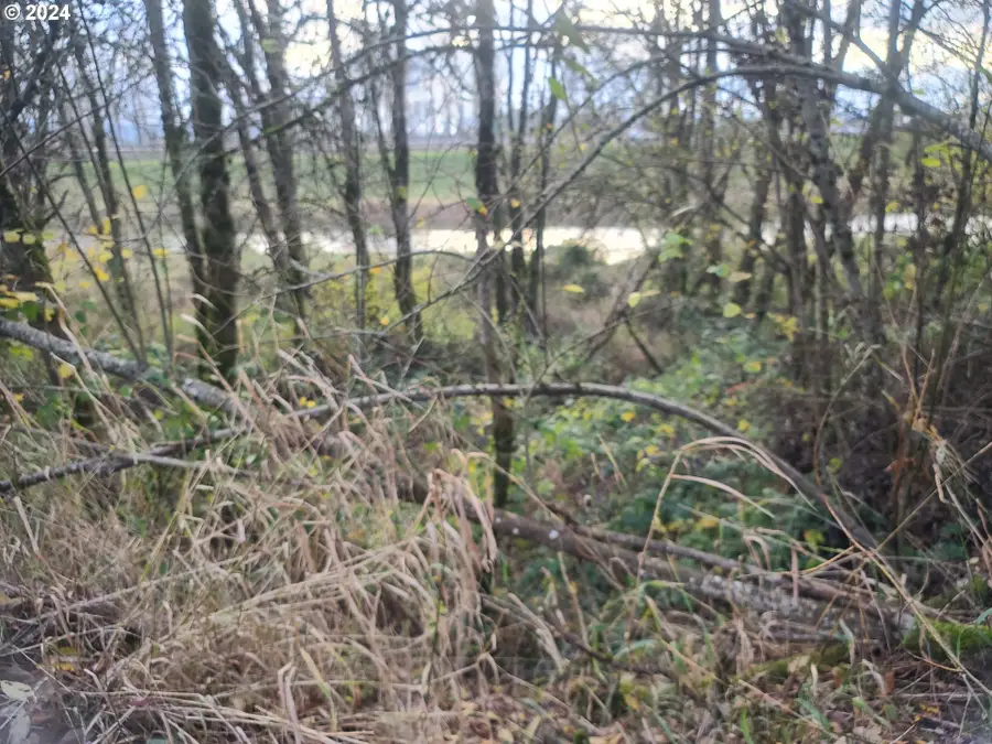 000 Grade St, Kelso, WA 98626 - Image #2