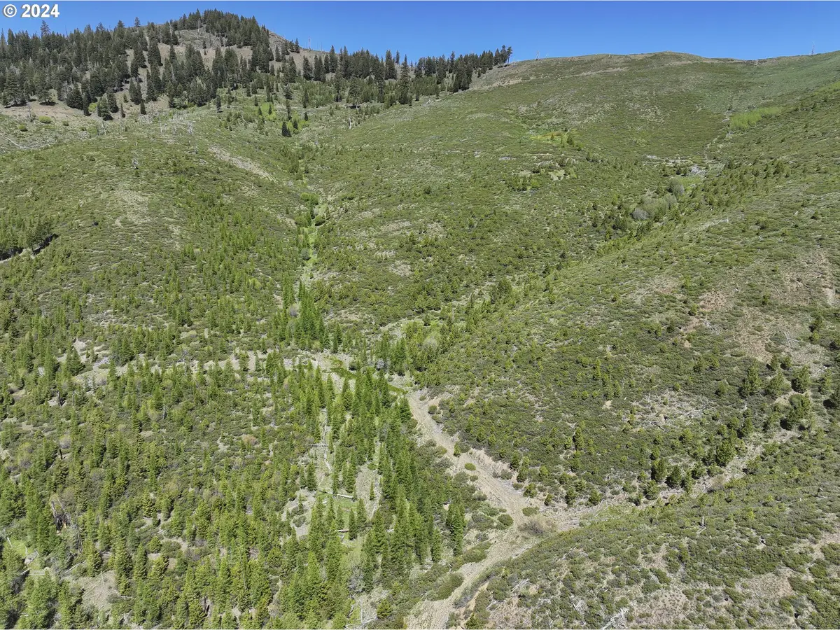 0 Nfs 1680 Rd., Unity, OR 97884 - Image #1