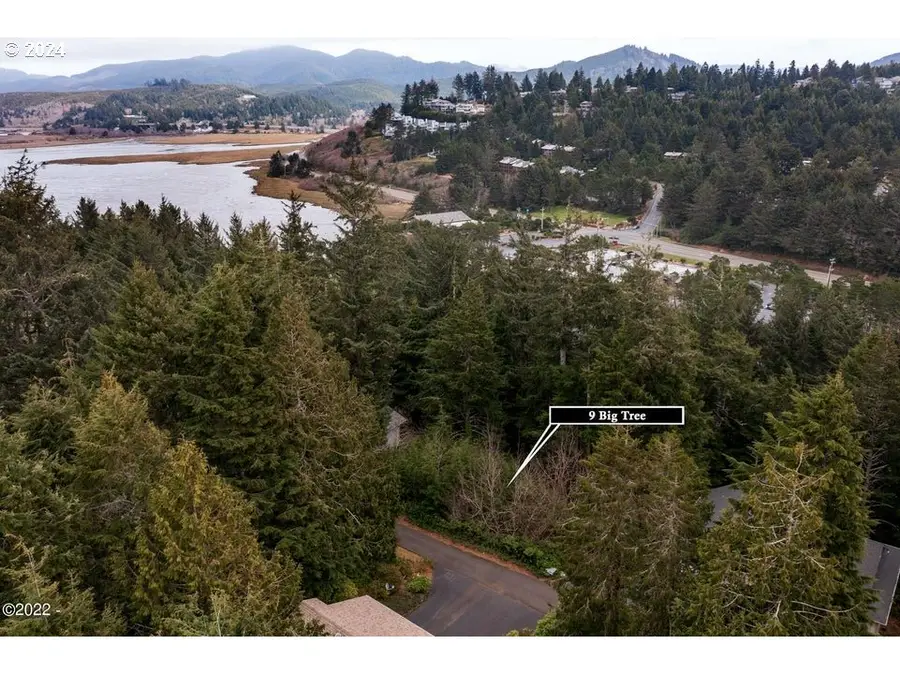 9 Big Tree Rd, Gleneden Beach, OR 97388 - Image #3