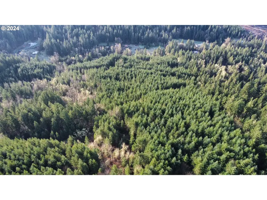 Perkins Creek Rd, Cottage Grove, OR 97424 - Image #2