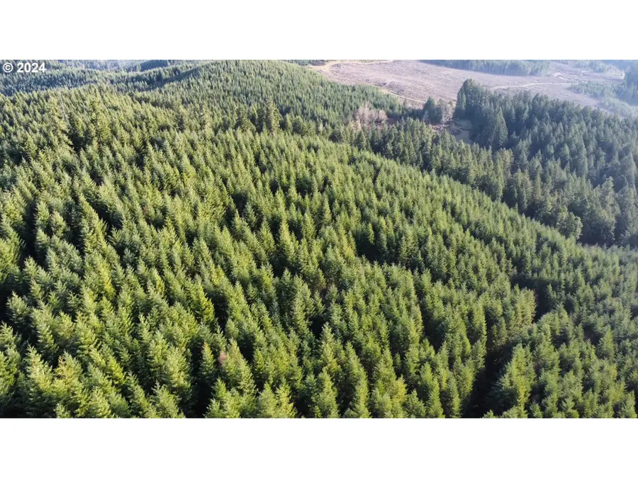 Perkins Creek Rd, Cottage Grove, OR 97424 - Image #3