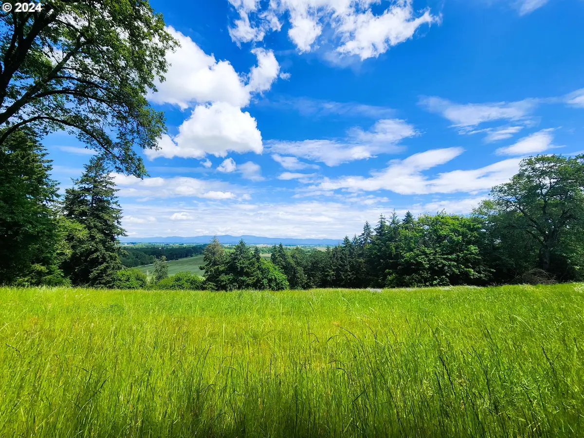 Applegate Trail #307, Cheshire, OR 97448 - Image #1