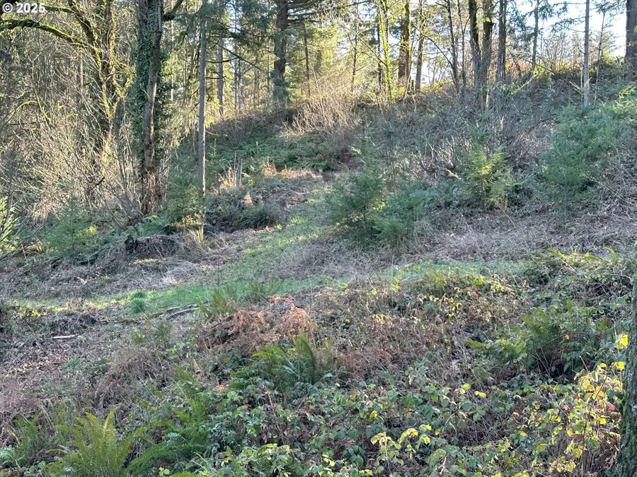 21487 SW Kruger Rd, Sherwood, OR 97140 - Image #3