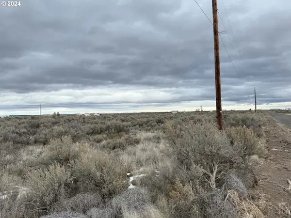 Glitter Ln #5900, ChristmasValley, OR 97641