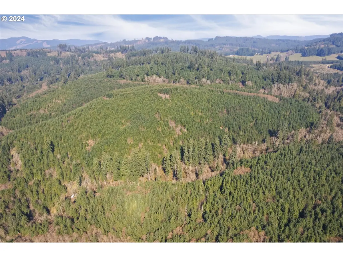 0 NE Cedar Mist Rd, Amboy, WA 98601 - #1