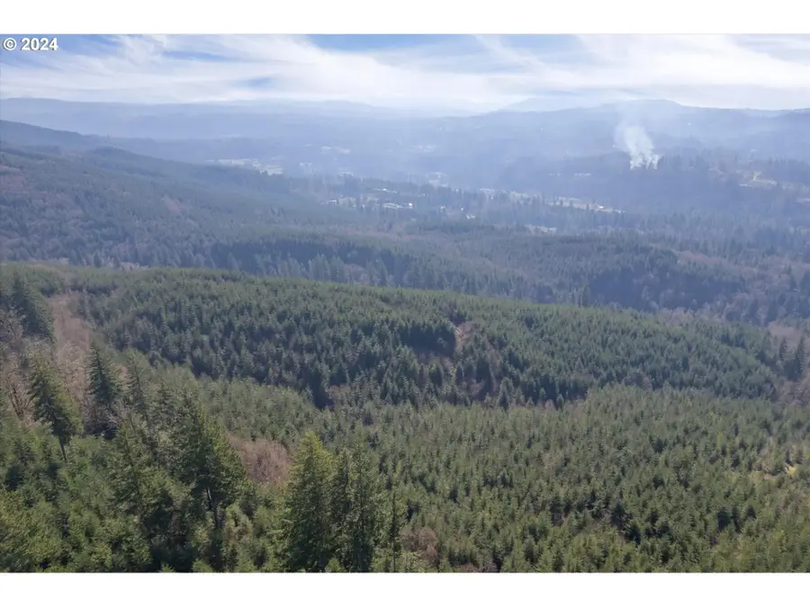 0 NE Cedar Mist Rd, Amboy, WA 98601 - #2