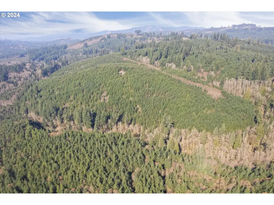 0 NE Cedar Mist Rd, Amboy, WA 98601 - #3