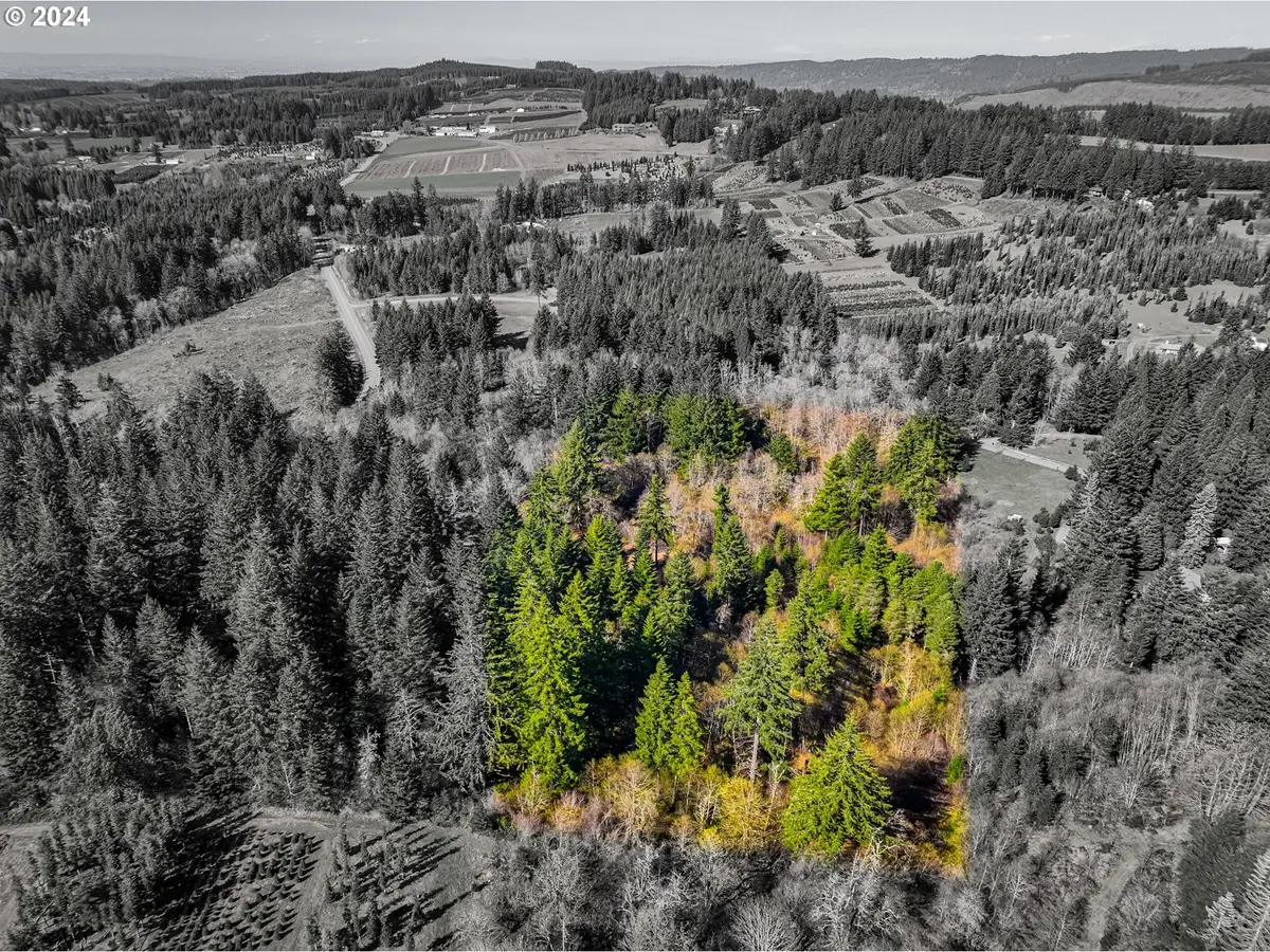 19890 Sharon Tony Way Se, Silverton, OR 97381 - Image #1