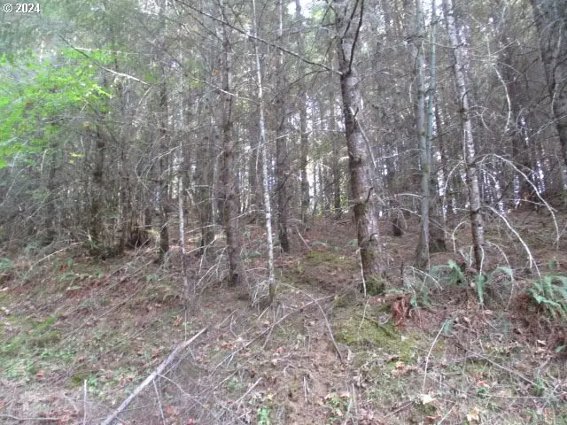 0 NW Crane (1), Yamhill, OR 97148 - Image #3