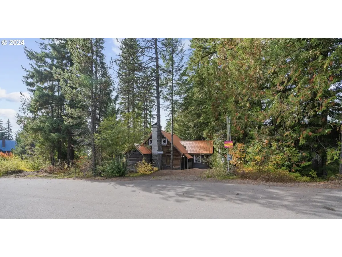 88887 E Government Camp Loop, Mount Hood Parkdale, OR 97028 - Image #1