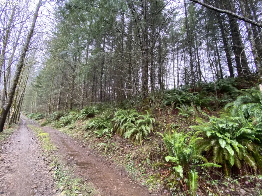0 NE Buncombe Hollow Rd, Woodland, WA 98674 - Image #3