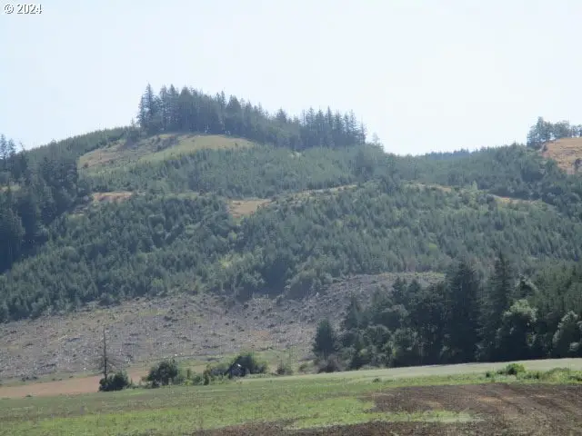 000 Thomas Creek Dr, Scio, OR 97374 - Image #2