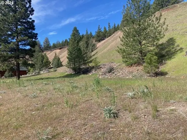 Elkview, CanyonCity, OR 97820