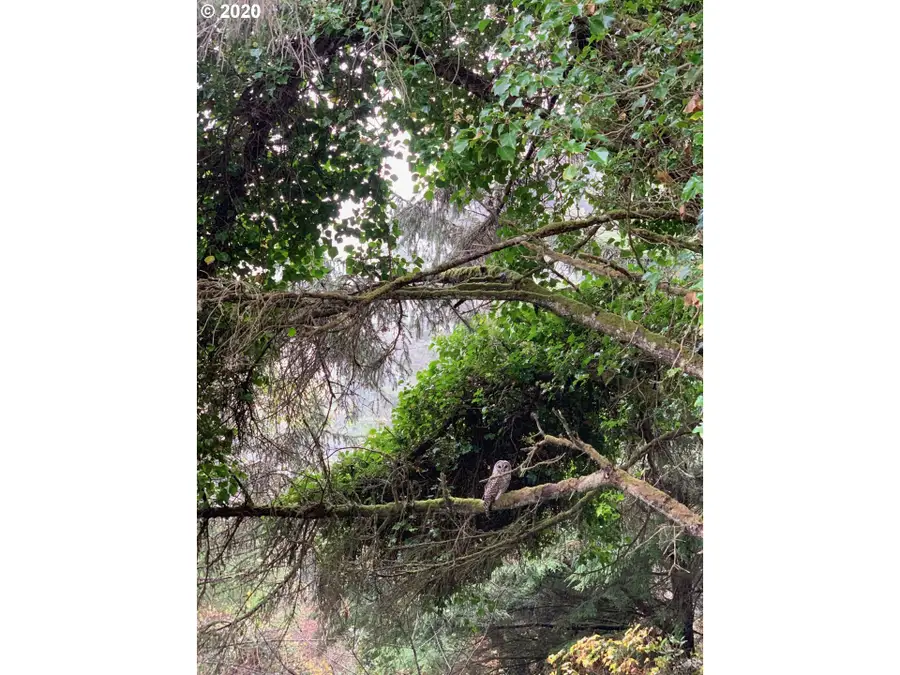 2900 SW Anchor Ave Parcel 2, Lincoln City, OR 97367 - Image #3